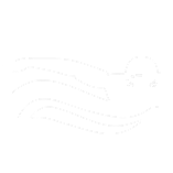 Swimming Lessons | SplashFit.org